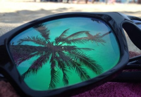 Nice reflection - sun glasses, beach, towel, reflection, palm tree