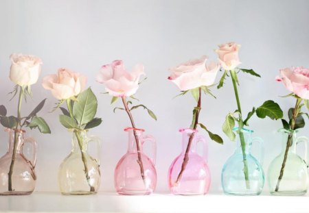 Bottles of roses