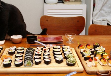 Sushi cat - feline, food, cooking, bowls, cat