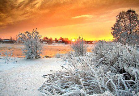 Winter Sun - splendor, landscape, snow, sunrise, winter splendor, view, lake, houses, sky, sun, clouds, house, trees, winter, water, beautiful, snowy, winter sun, beauty, lovely, tree, river, frozen, nature, sunset, winter time, cold, winter sunset, peaceful