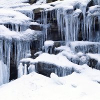 Winter formation