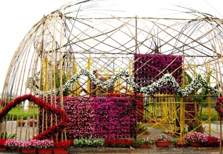 Flower display - lovely, beautiful, flower, display