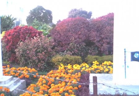 Garden - fort, baradari, lahore, garden