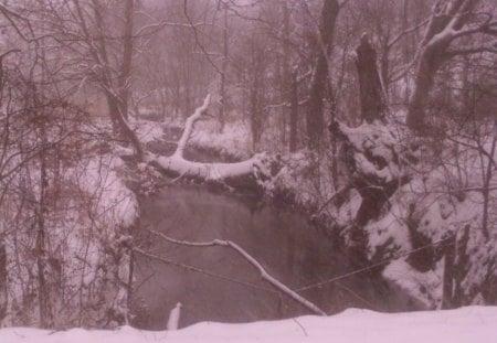 Winter in Virginia - trees, snow, water, winter, stream, creek