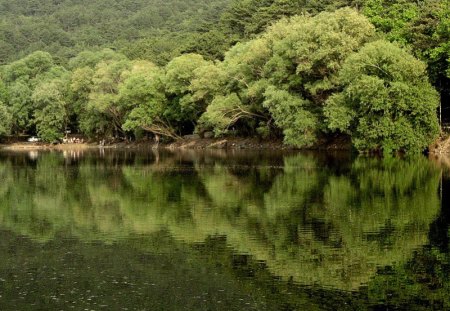 blacklake            turkey - green, blacklake, turkey