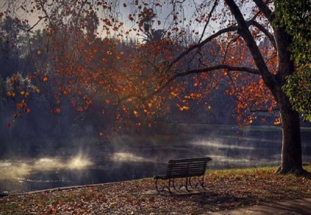 	Hyde Park - hyde, park, england