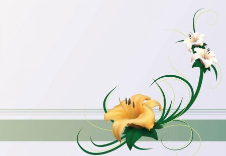 simple design - white, yellow, flower