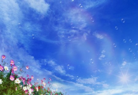 Summer Meadow - white clouds, bluesky, pink flowers