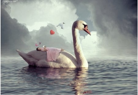 Sweet Dreams - bird, birds, heart, swan, book, dove, butterflies, s, children, child, swans, sleeping, clouds, kids, water, girl, sweet, dreams, fantasy, lakes, hearts