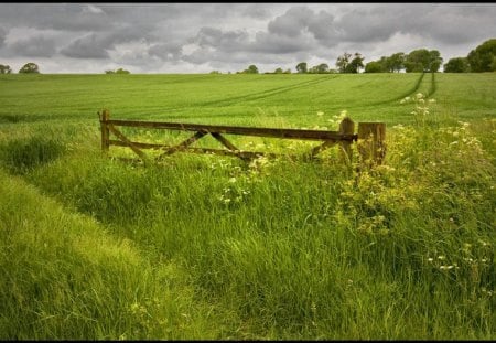 	Half Hidden Gate - hidden, gate, half