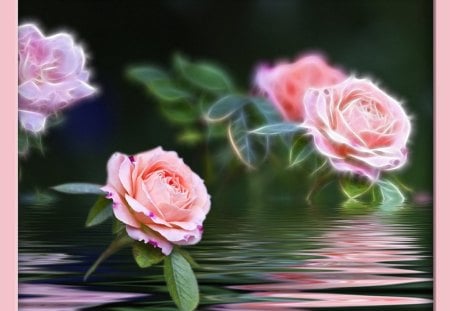 Pretty and pink - roses, 3d