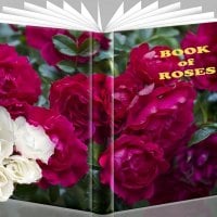 Book of roses