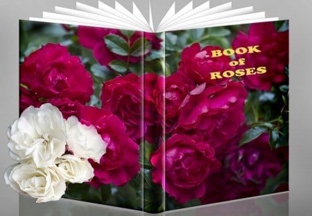 Book of roses - roses, 3d