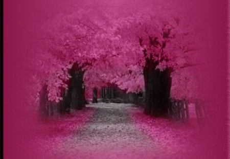 PINK GARDEN - frame, forest, pink, garden