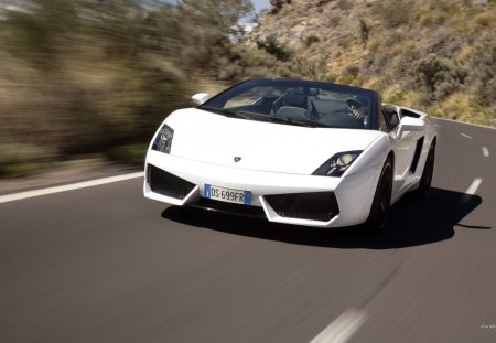 Lambo_gallardo - love speed, money talks