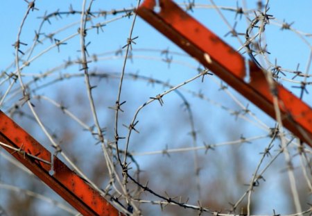 No Entrance No Exit - barrier, barbwire, fence