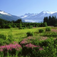 Mendenhall Glacier