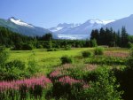 Mendenhall Glacier