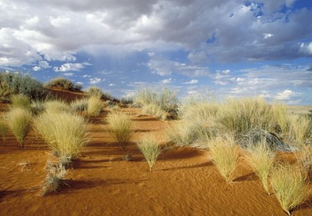 Kgalagadi Transfrontier - nature, mountains