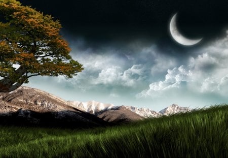 Beyond the Field - moon, grass, mountain, tree