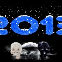 Wolf New Year