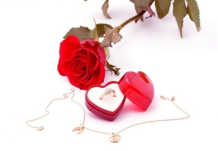 Rose and Ring - necklace, romantic rose, red, photography, ring