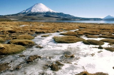 parinacota volcano in lauca np chile - wetlands, volcano, mountain, snow