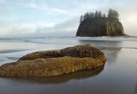 sea stacks at second beach oregon - beach, trees, stack, sea, mist, rocks