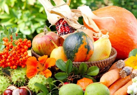 *** Autumn Treasures *** - autumn, trasures, food, colors, fruits, vegetables