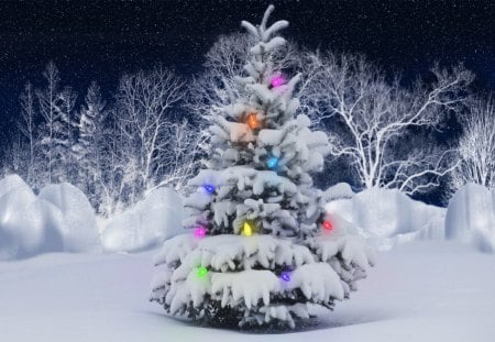 Christmas Lights - lights, winter, trees, colors, christmas, snow