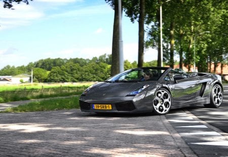 lamborghini - tree, road, lamborghini, speed