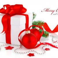 * Merry Christmas and Happy New Year *