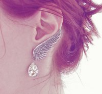 ~ Delicate Angel Wing and Tear ~