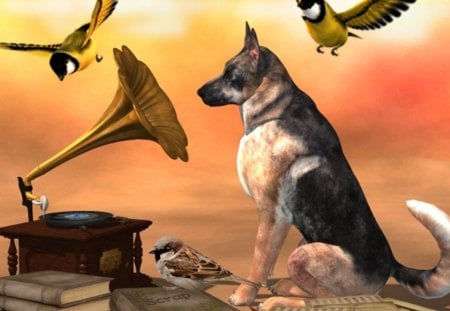 Dog and the Music - bird, music, book, dog, gramofon