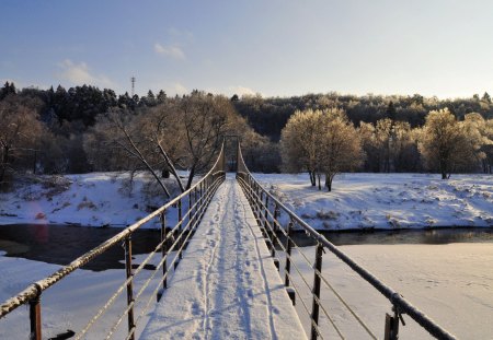 Winter bridge - pretty, magic, snowflakes, snow, light, countryside, holiday, kindness, frost, yard, nice, house, fence, village, frozen, ice, care, new year, deer, warmth, cabin, forest, alleys, home, meet, sky, cottage, mood, trees, winter, beautiful, snowy, roe, girl, lovely, tree, christmas, painting, cold, little, bridge, park