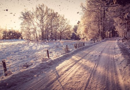 Winter road - pretty, magic, snowflakes, snow, light, countryside, holiday, kindness, frost, yard, nice, house, road, fence, village, frozen, ice, care, new year, deer, warmth, cabin, forest, alleys, home, meet, sky, cottage, mood, trees, winter, beautiful, snowy, roe, girl, lovely, tree, christmas, painting, cold, little, park