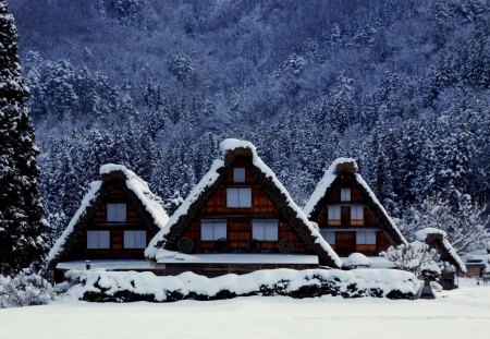 Winter - pretty, magic, snowflakes, snow, light, countryside, holiday, kindness, frost, yard, nice, house, fence, village, frozen, ice, care, new year, deer, warmth, cabin, forest, alleys, home, meet, sky, cottage, mood, trees, winter, beautiful, snowy, roe, girl, lovely, tree, christmas, painting, cold, little, park