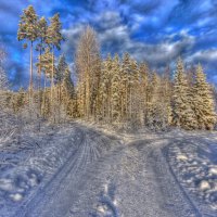 Winter road