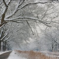 Winter road