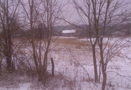 Barn in Winter - trees, white, winter, barn, snow, field