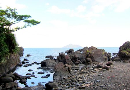 Seaside - rock, island, seaside, tree