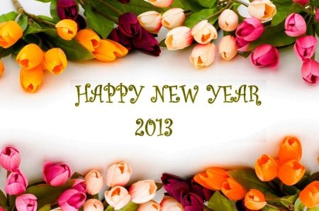 HAPPY NEW YEAR 2013 - flowers, 2013, frame, background, new, happy, year