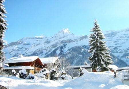 chalet on a sunny winters day - winter, chalet, evergreen, mountain