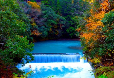 RIVER FALLS - river, nature, autumn, falls, forest