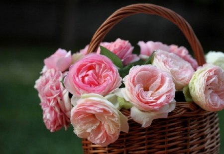 Spring Flowers - flowers, basket, white, nature, spring, colors, flower, pink