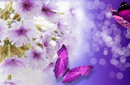 Flowers Fantasic - bokeh, light, summer, shine, spring, purple, fragrant, warm, perfume, flowers, lilac, lavender, butterflies