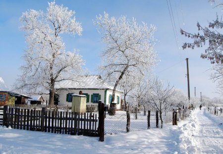 Winter - pretty, magic, snowflakes, snow, light, countryside, holiday, kindness, frost, yard, nice, house, fence, village, frozen, ice, care, new year, deer, warmth, cabin, forest, alleys, home, meet, sky, cottage, mood, trees, winter, beautiful, snowy, roe, girl, lovely, tree, christmas, painting, cold, little, park