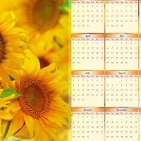 2013 calendar