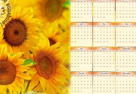 2013 calendar - 2013, sunflowers, new year, beautiful, calendar, nice