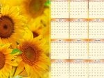 2013 calendar